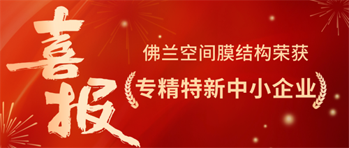 特大喜訊：佛蘭空間榮獲專(zhuān)精特新榮譽(yù)，技術(shù)創(chuàng)新再攀高峰